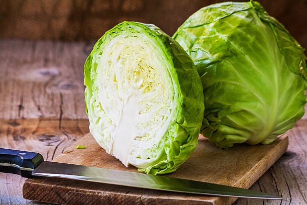 تصویر 4 از خرید کلم برگ درجه یک + قیمت فروش استثنایی